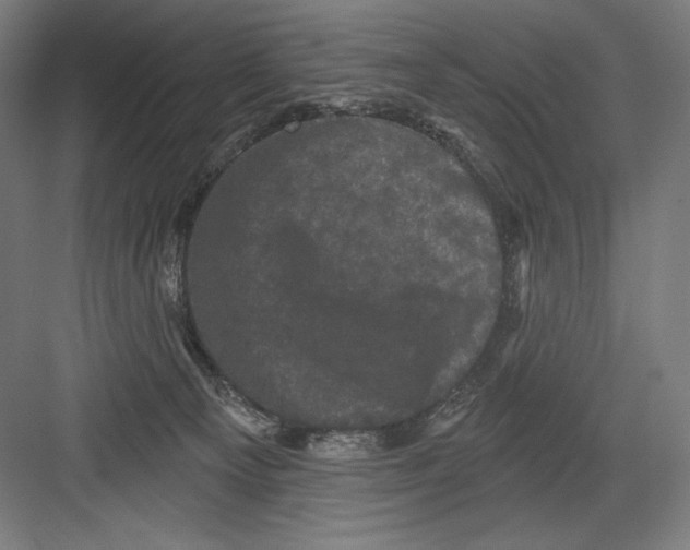 X0000082180129200702092319