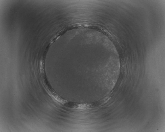 X0000082180130200702092319