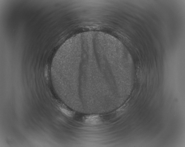 X0000082180132200702092319