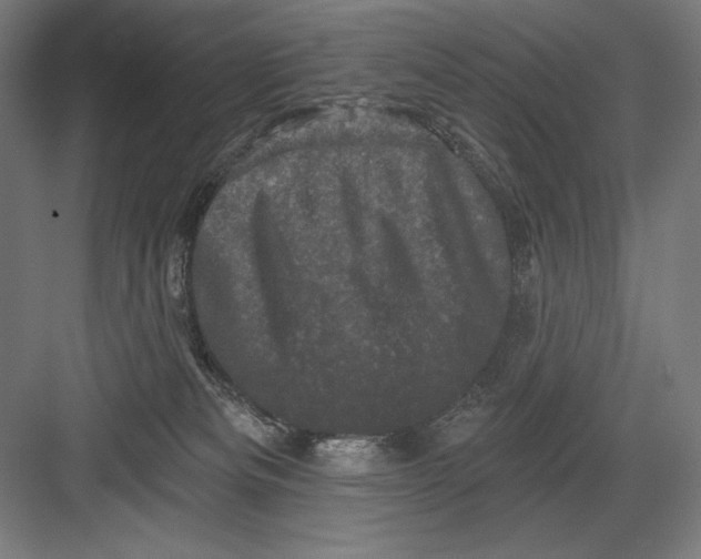 X0000082180133200702092319