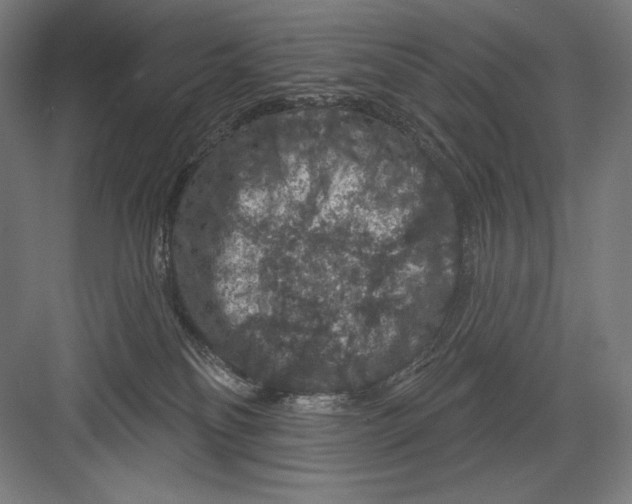X0000082180134200702092319