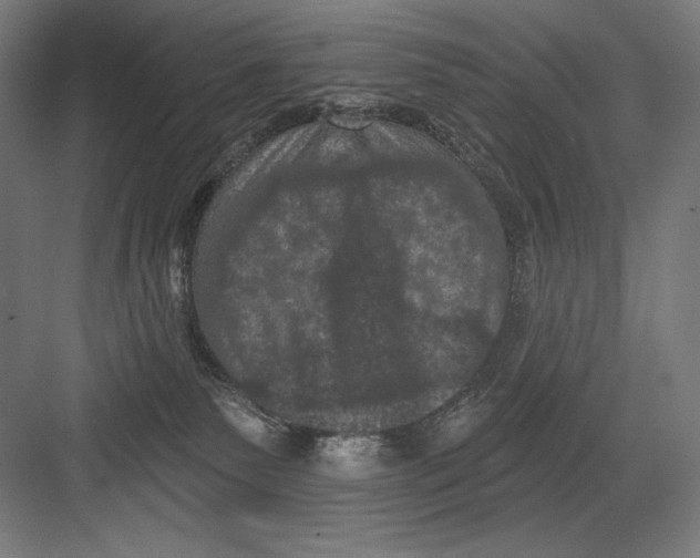 X0000082180135200702092319