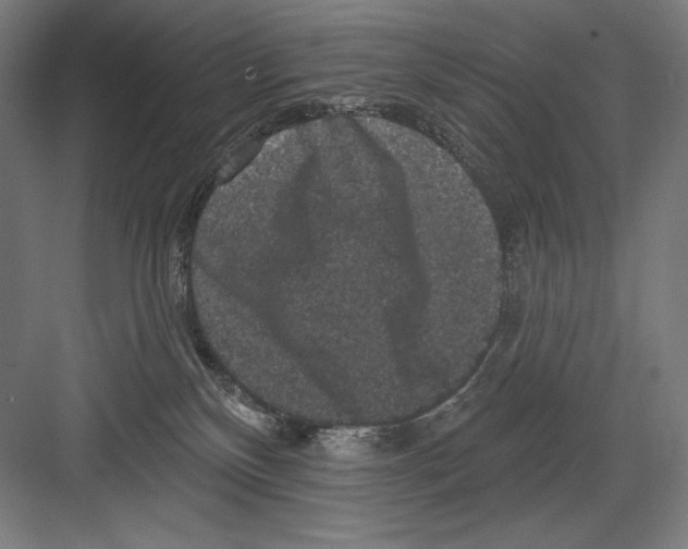 X0000082180136200702092319