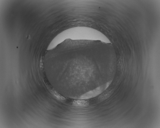 X0000082180137200702092319