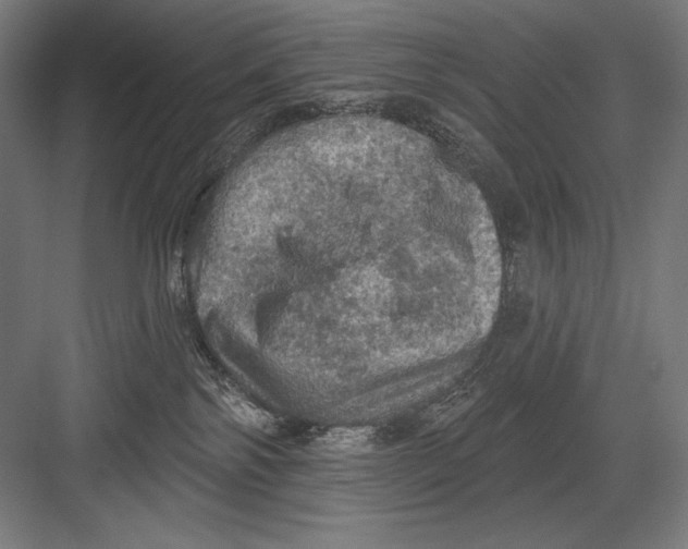 X0000082180138200702092319