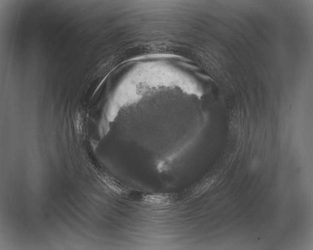 X0000082180139200702092319