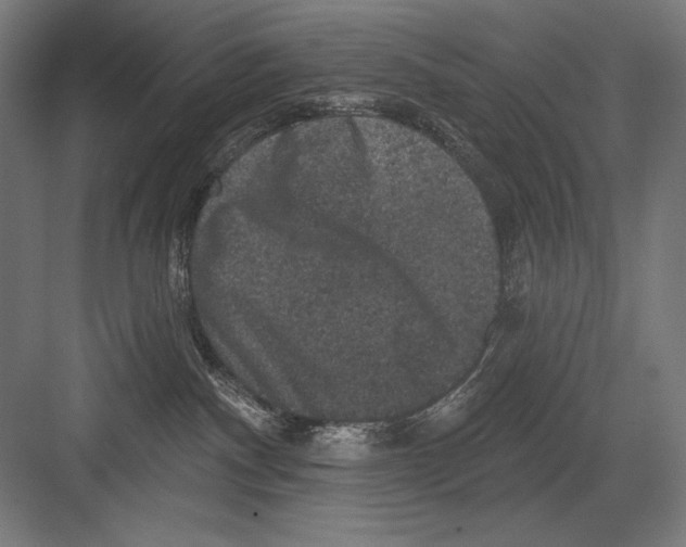 X0000082180140200702092319