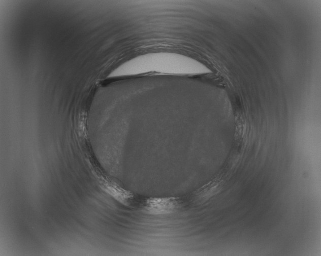 X0000082180141200702092319