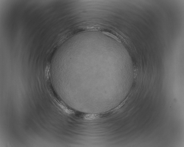 X0000082180142200702092319
