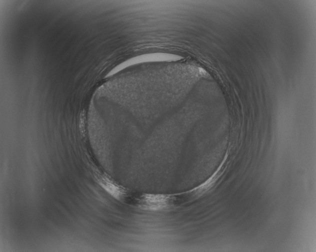 X0000082180144200702092319