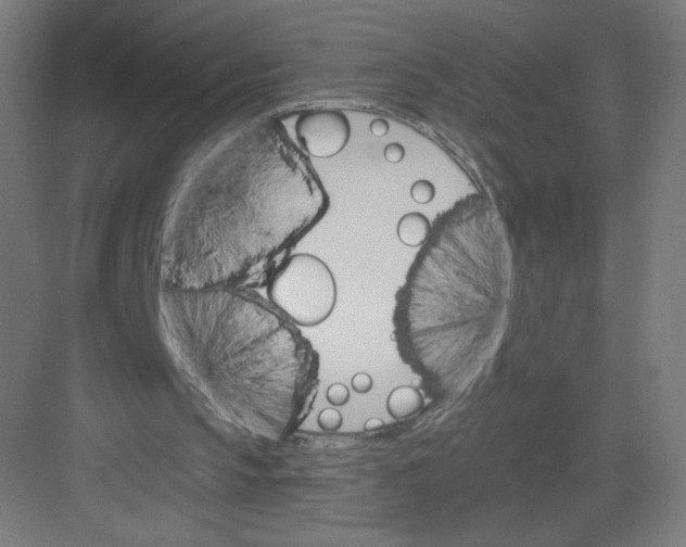 X0000082180145200702092318