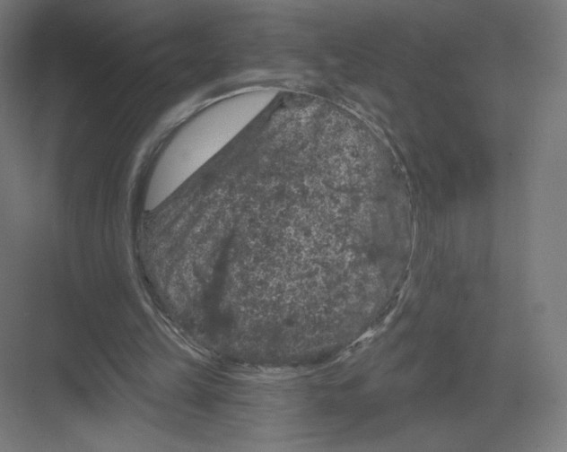 X0000082180149200702092318