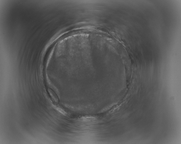 X0000082180150200702092318