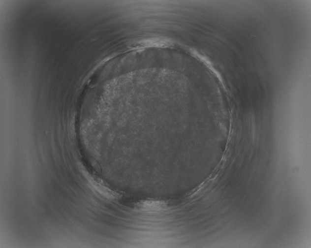 X0000082180154200702092318