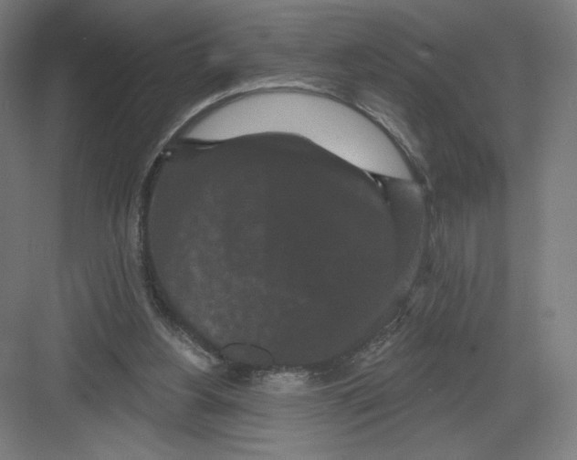X0000082180156200702092318