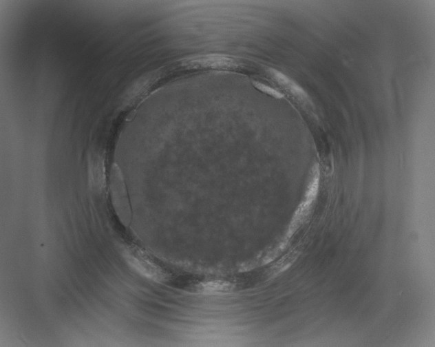 X0000082180158200702092318