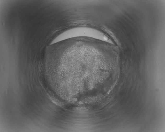 X0000082180161200702092318