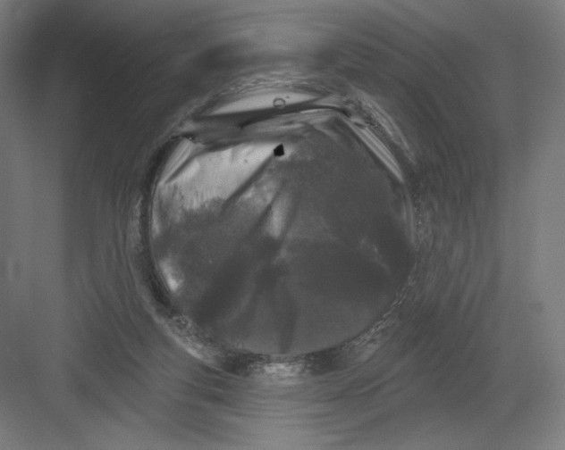 X0000082180163200702092318