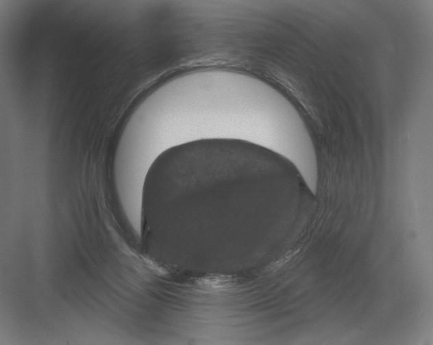 X0000082180164200702092318