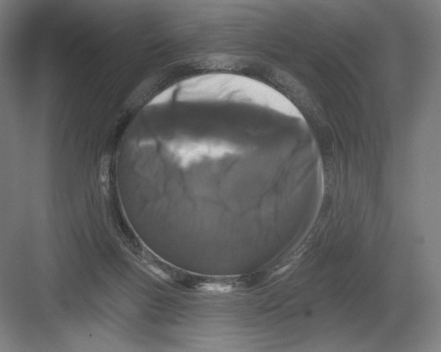 X0000082180167200702092318
