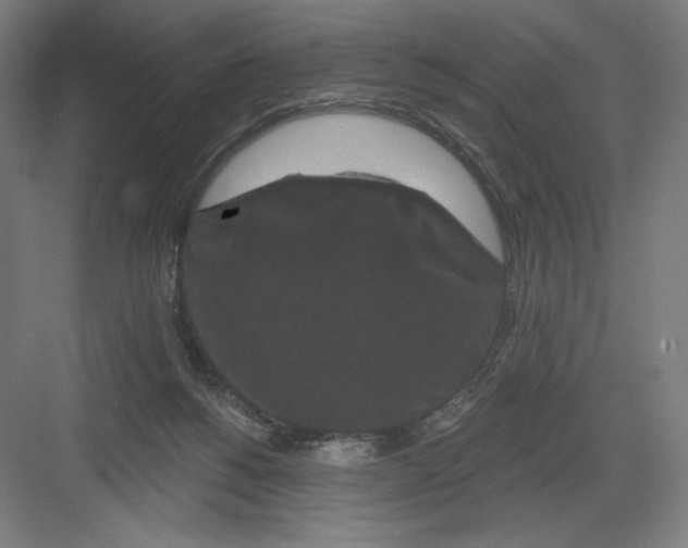 X0000082180168200702092319