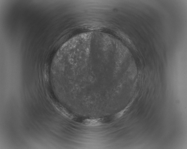 X0000082180170200702092319
