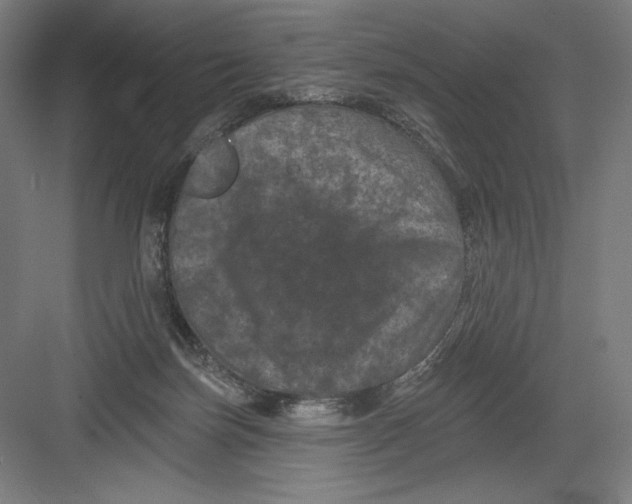 X0000082180171200702092319