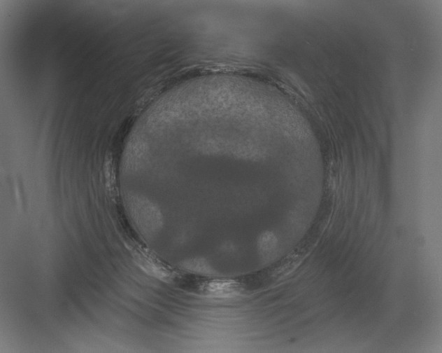 X0000082180173200702092319