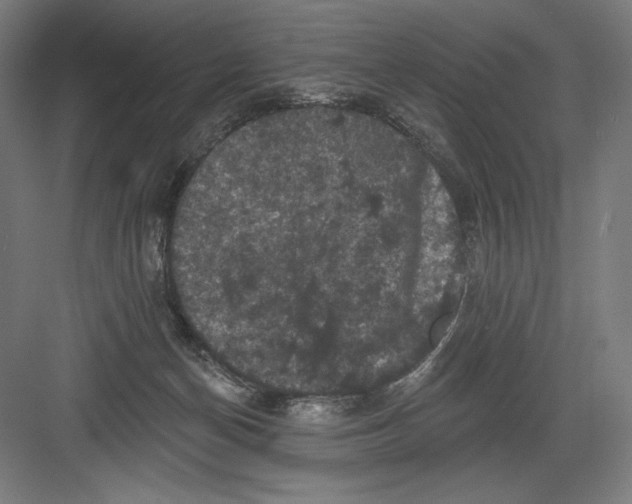 X0000082180174200702092319