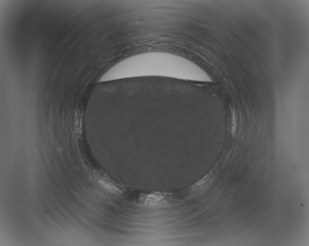 X0000082180180200702092319