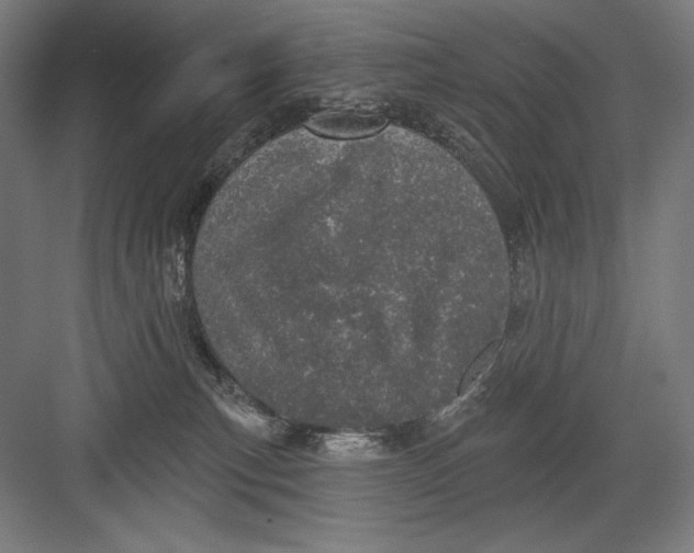 X0000082180183200702092319