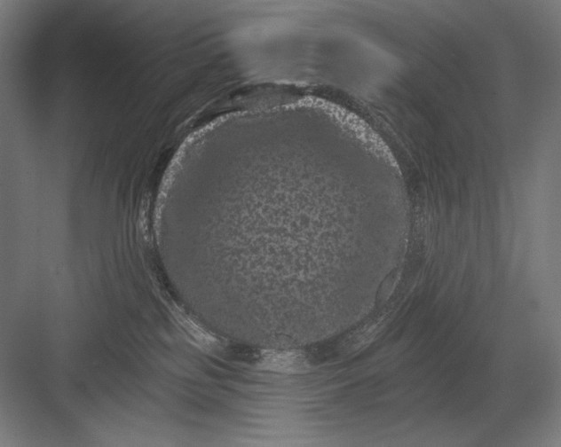 X0000082180185200702092319