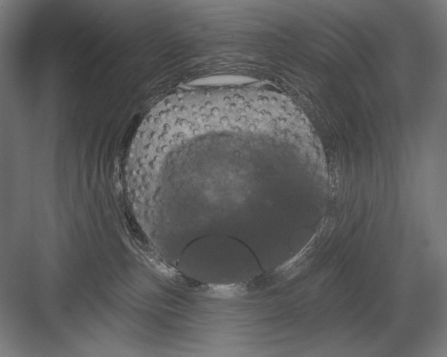 X0000082180187200702092319