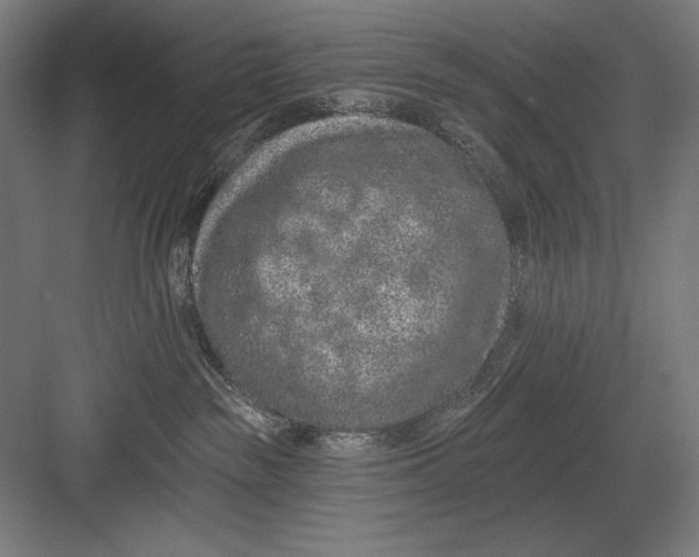 X0000082180189200702092319
