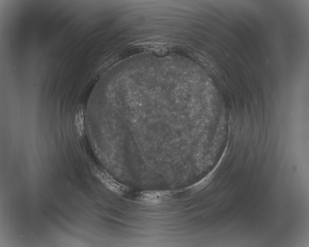 X0000082180190200702092319