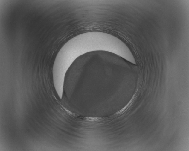 X0000082180192200702092319