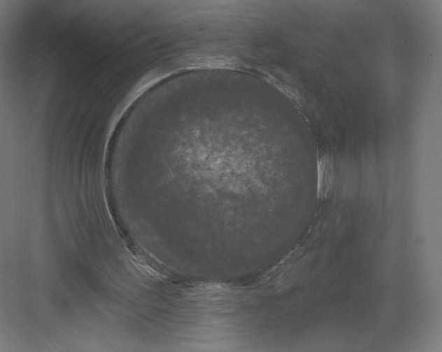 X0000082180195200702092318