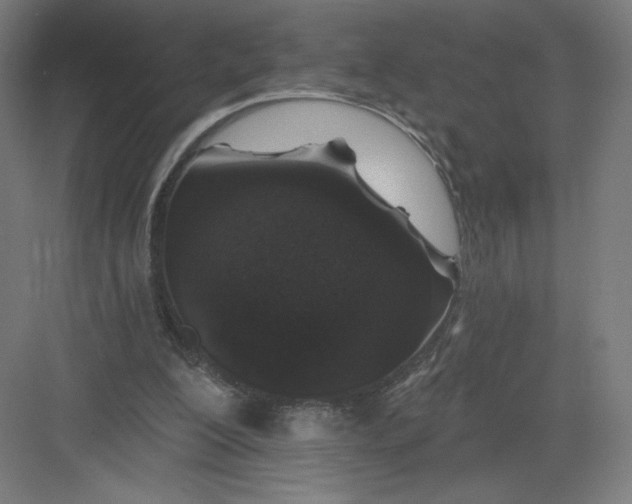 X0000082180200200702092318