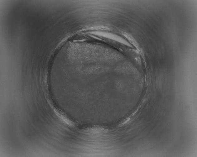X0000082180201200702092318