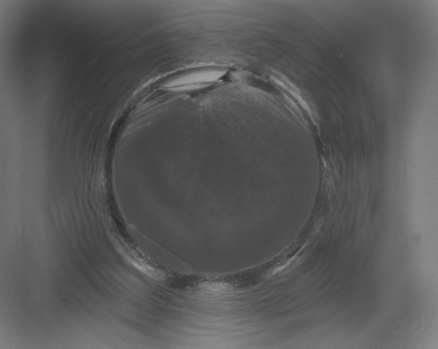 X0000082180203200702092318