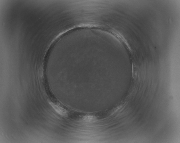 X0000082180204200702092318