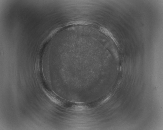 X0000082180205200702092318