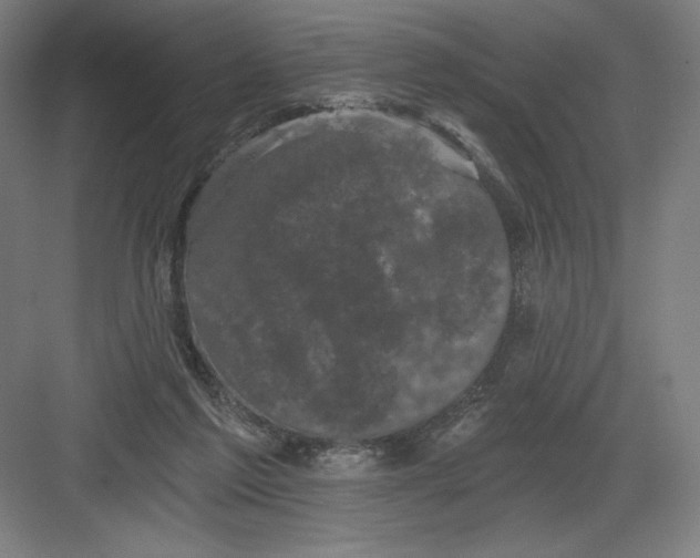 X0000082180213200702092318