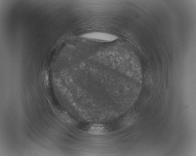 X0000082180214200702092318