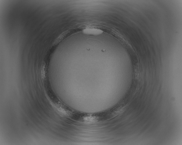 X0000082180216200702092318
