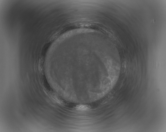 X0000082180218200702092318