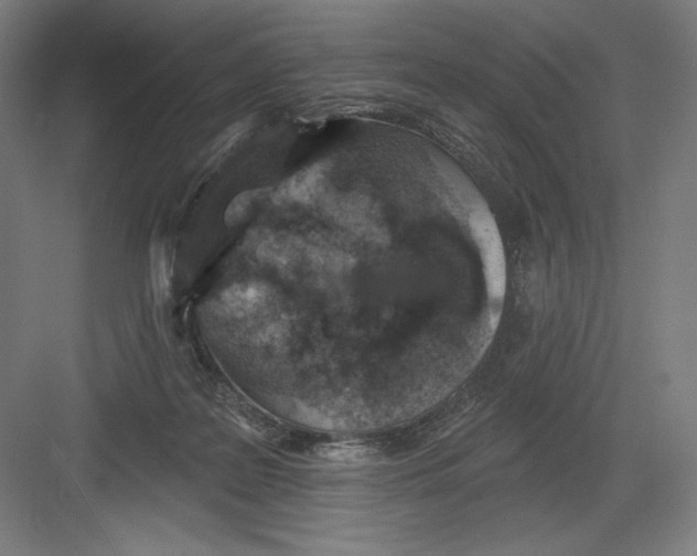 X0000082180219200702092318