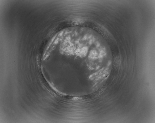 X0000082180222200702092318