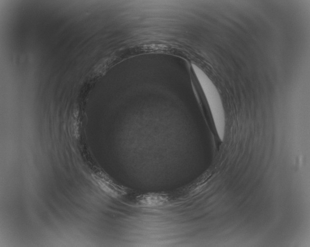 X0000082180223200702092318
