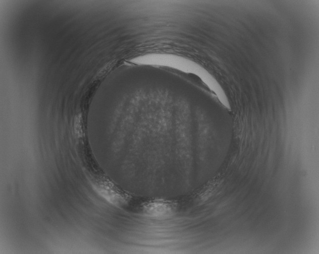 X0000082180224200702092318